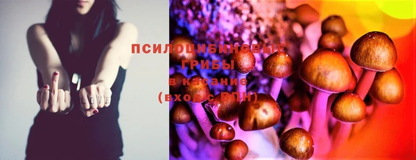 PSILOCYBIN Абдулино