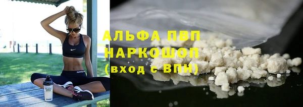 мяу мяу мука Абаза
