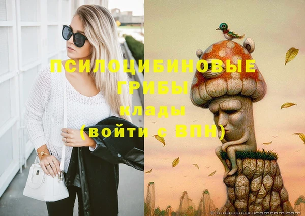 спиды Алексин