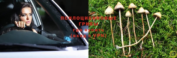 PSILOCYBIN Абдулино