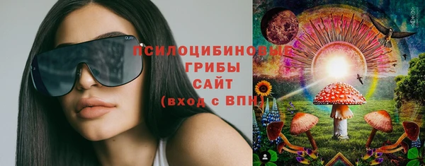 ГАЛЛЮЦИНОГЕННЫЕ ГРИБЫ Алзамай